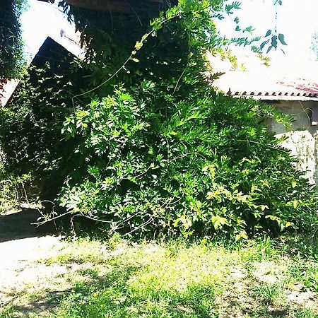 Quinta De Abol De Baixo Hotell Entre-os-Rios Exteriör bild