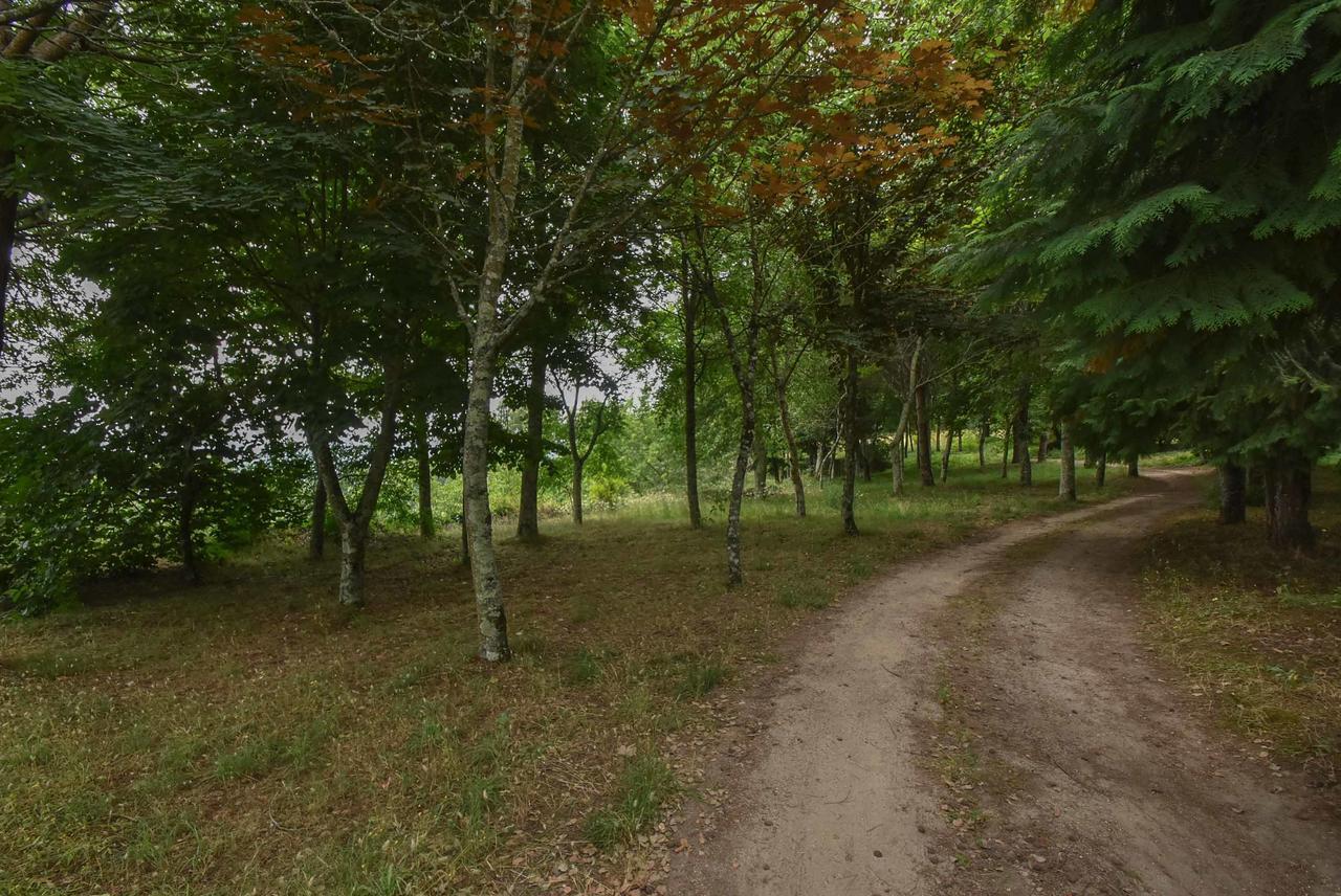 Quinta De Abol De Baixo Hotell Entre-os-Rios Exteriör bild