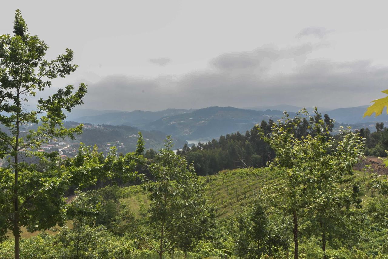 Quinta De Abol De Baixo Hotell Entre-os-Rios Exteriör bild