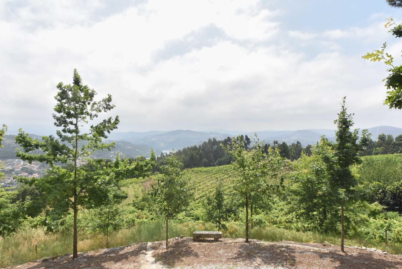 Quinta De Abol De Baixo Hotell Entre-os-Rios Exteriör bild